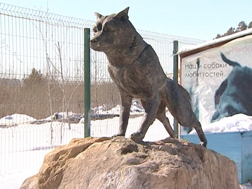 Памятнику псу Балто установили в питомнике К-9