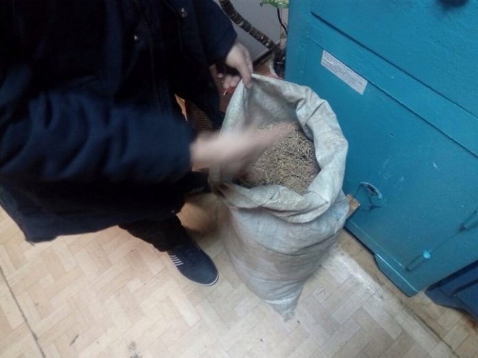 Транспортные полицейские нашли у жителя Тайшетского района полкилограмма наркотиков