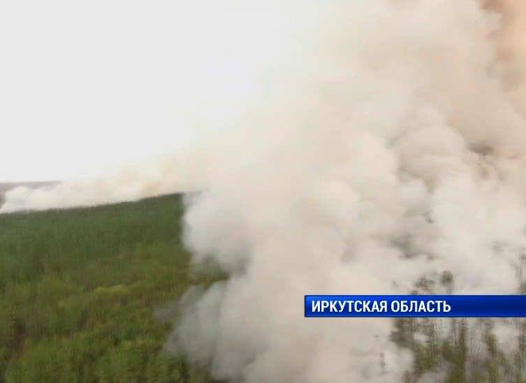 Один лесной пожар обнаружен и ликвидирован за минувшие сутки на землях «Заповедного Прибайкалья»