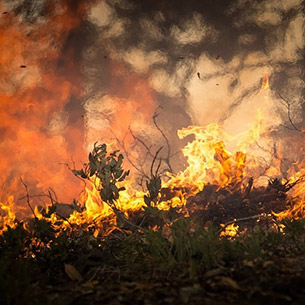 За сутки в Иркутской области ликвидировали 15 пожаров
