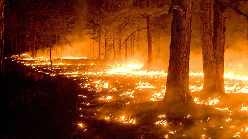 15 пожаров ликвидировано в Иркутской области за сутки