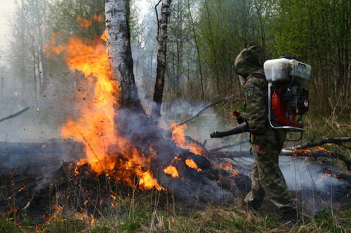 12 лесных пожаров ликвидировано в Иркутской области за сутки на землях лесного фонда