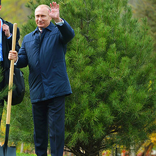 Путин лично оплатил тысячу саженцев сосны для высадки в Иркутской области