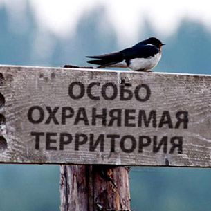 Дирекцию по управлению памятниками природы предложено создать в Прибайкалье