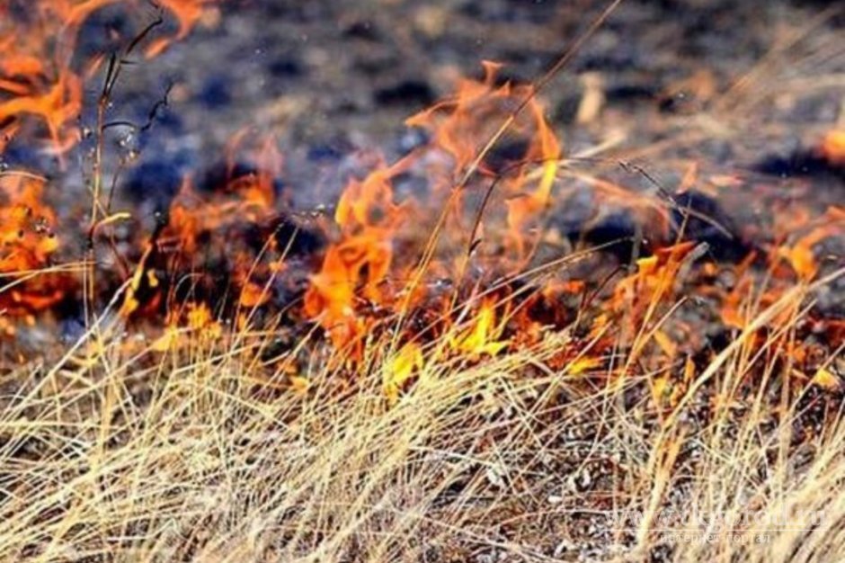83-летний пенсионер в Братске серьезно обгорел, сжигая траву на даче