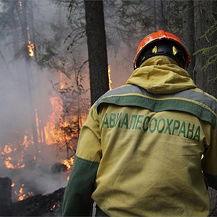 За сутки потушены лесные пожары в Иркутском, Зиминском, Усольском и Братском районах