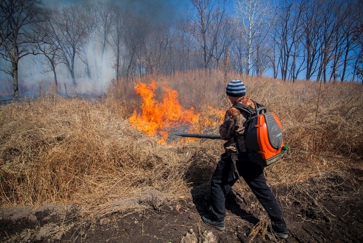 Сотрудники Чунского лесничества учились тушить пожары