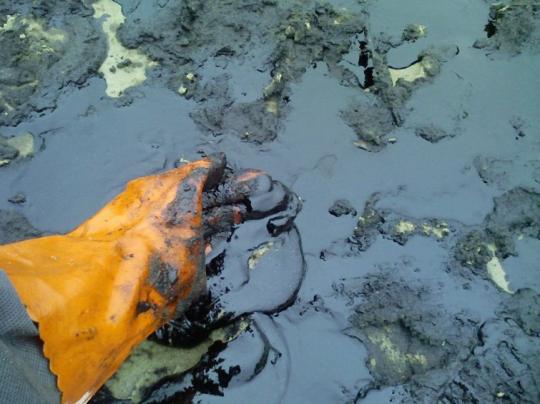 Ущерб, нанесенный Ангаре разливом нефтепродуктов в Усолье, будет подсчитан к началу июля
