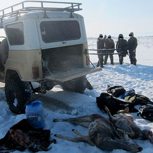 Четыре браконьера задержаны с участием главы ГИБДД Качугского района