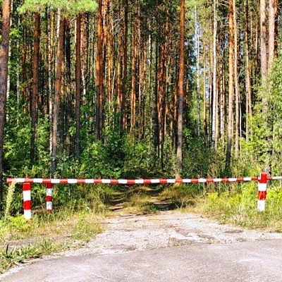 С 26 июня в Иркутской области ограничат посещение лесов