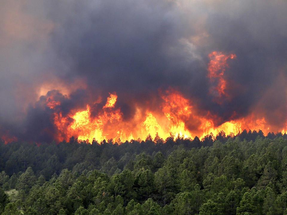 В Приангарье действуют пять природных пожаров на площади 1,2 тыс. га