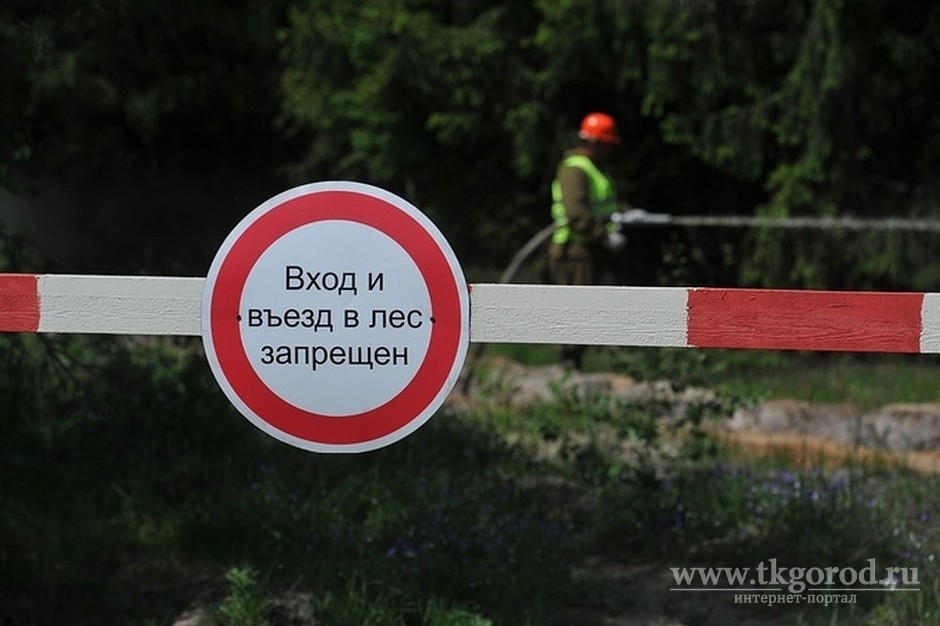 Доступ в леса в Братске под запретом