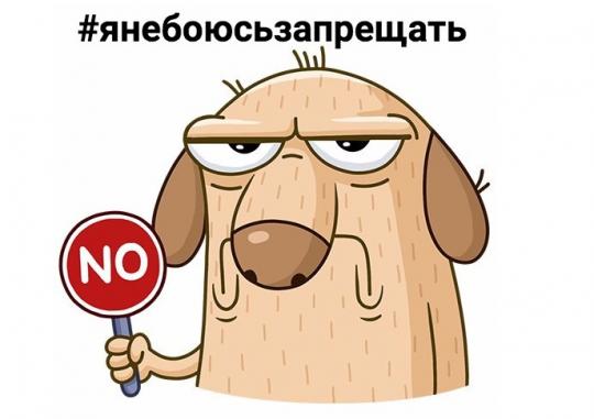 Милонов внес в Госдуму законопроект о запрете соцсетей для детей до 14 лет
