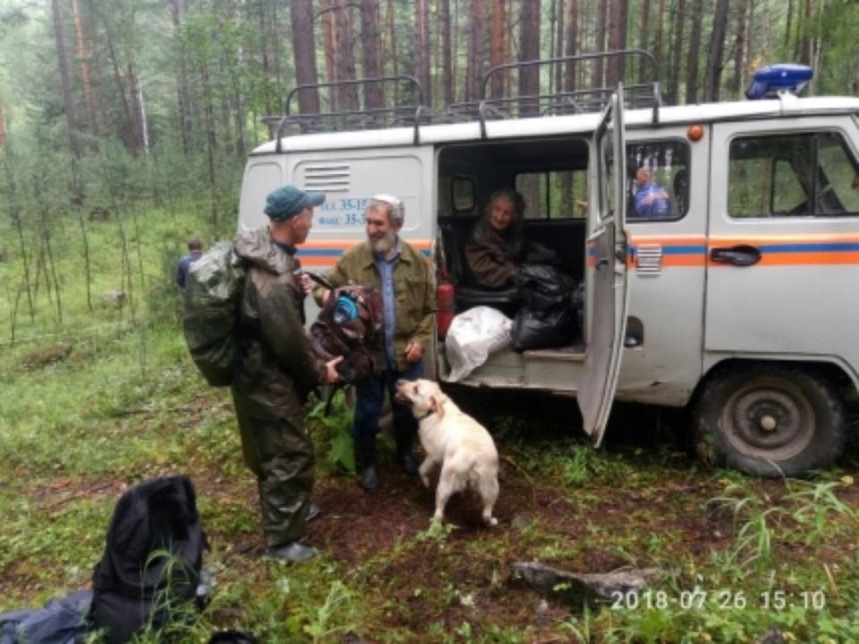 Пожилая пара более суток плутала в лесу в Шелеховском районе
