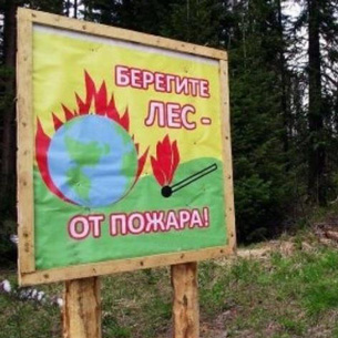 Почти 10 млн штрафами взыскали в Прибайкалье за нарушения противопожарного режима в лесах