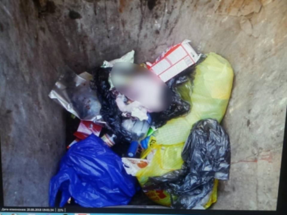 Тело младенца нашли в мусорном контейнере в Усолье-Сибирском