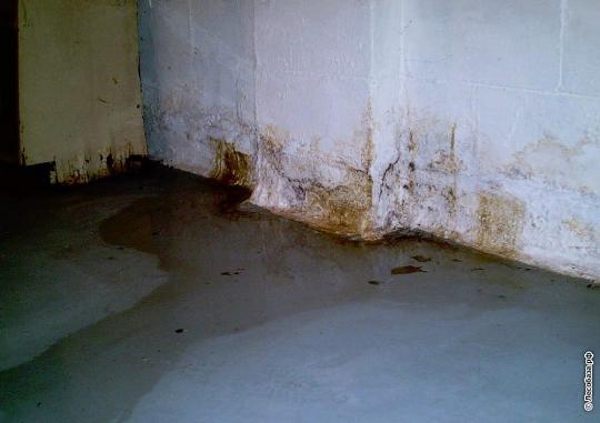 Ливень и ремонт крыши привели к затоплению в инфекционной больнице Иркутска