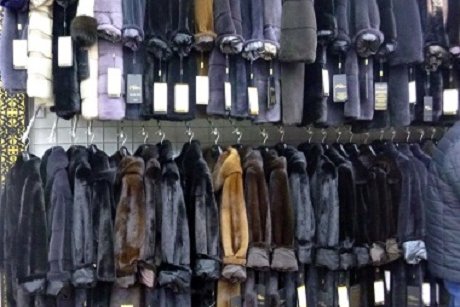 Сотни контрабандных шуб из норки нашли в бутиках Иркутска