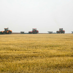 В Прибайкалье собрано более 80 % урожая зерна