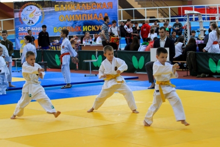 В Иркутске пройдет Байкальская олимпиада боевых искусств