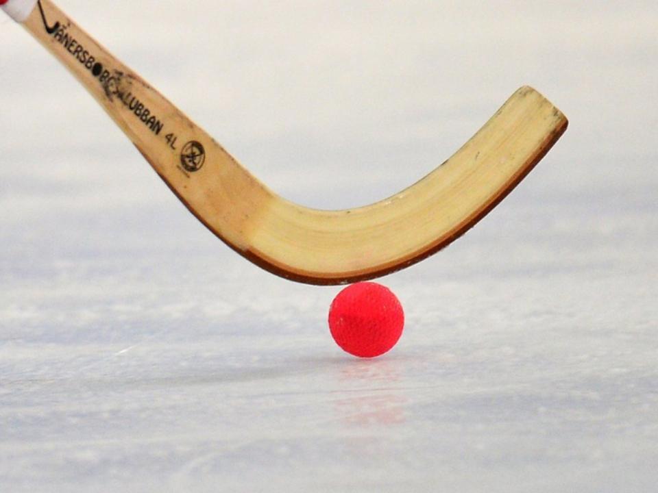 В Иркутской области пройдет конкурс на лучшую эмблему чемпионата мира по хоккею с мячом