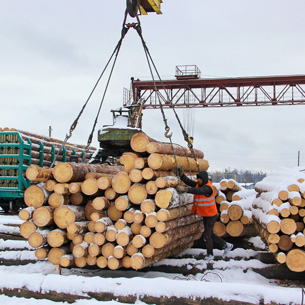 Экспорт круглого леса из Иркутской области сократился на 17 %