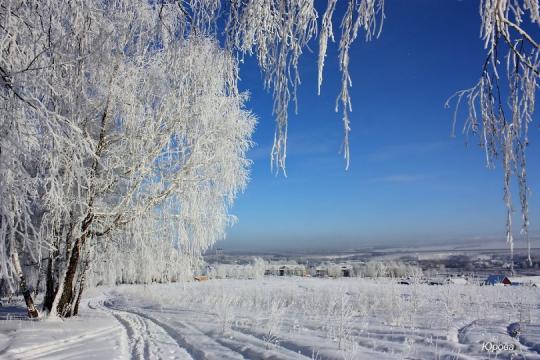 Ветер и снег придут в Иркутск 16 ноября