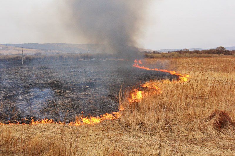 Все лесные пожары ликвидировали в Приангарье
