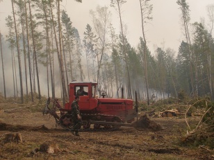Все лесные пожары в Иркутской области потушены