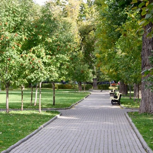 Участниками федерального проекта по обустройству парков стали семь городов Прибайкалья