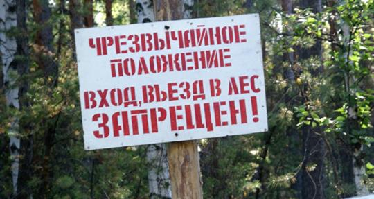 МЧС запретило вход в лес в 13 районах Иркутской области