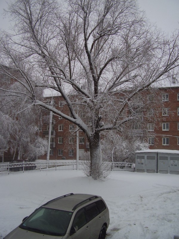 Мокрый снег и дождь Иркутской области будут идти на Пасху