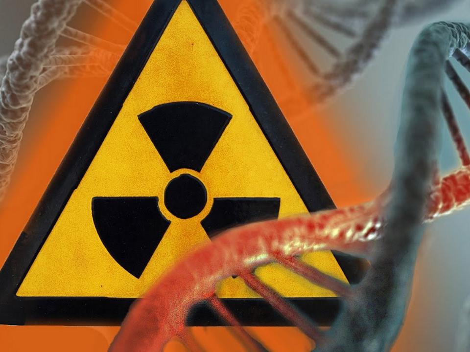 Иркутские ученые совместно с германскими коллегами продвинулись в понимании воздействия радиации