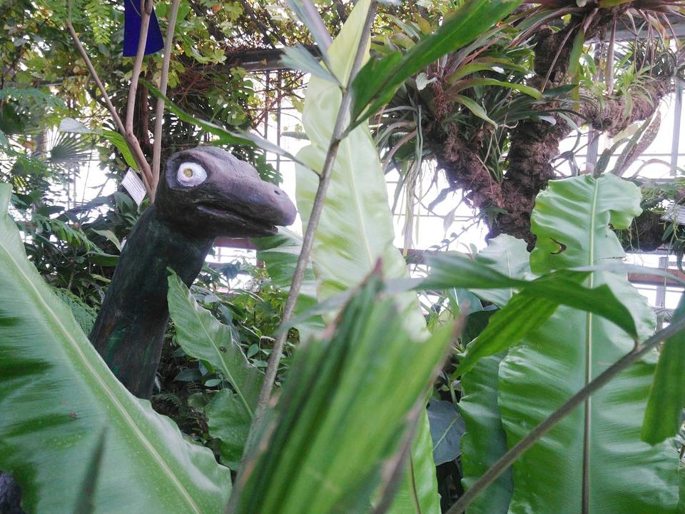 Ботанический сад ИГУ проведет детский конкурс «Сочини своего динозавра!»
