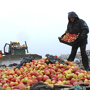 До Иркутска не довезли 838 кг бельгийских яблок