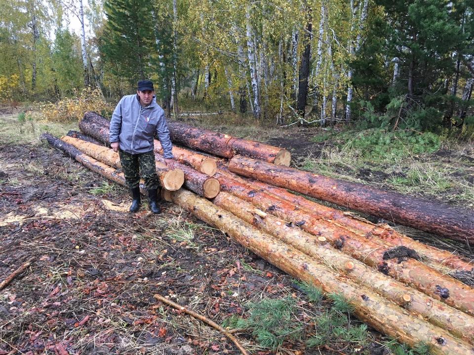 После обращения иркутских активистов ОНФ о незаконных рубках леса приняты правовые меры