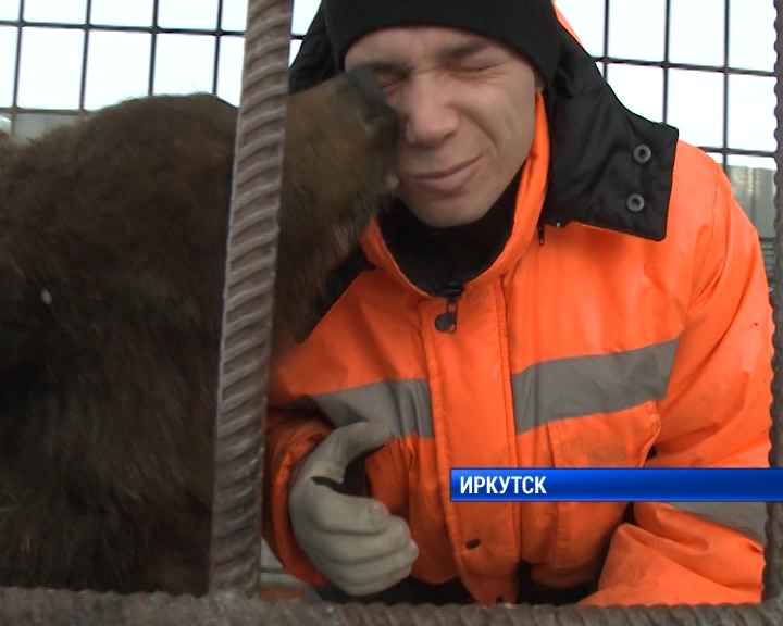 В контактных зоопарках Иркутской области общение с животными оказалось под запретом