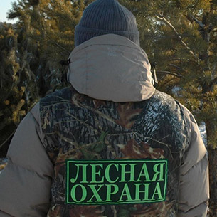 Набор общественных инспекторов для охраны лесов начали в Иркутской области