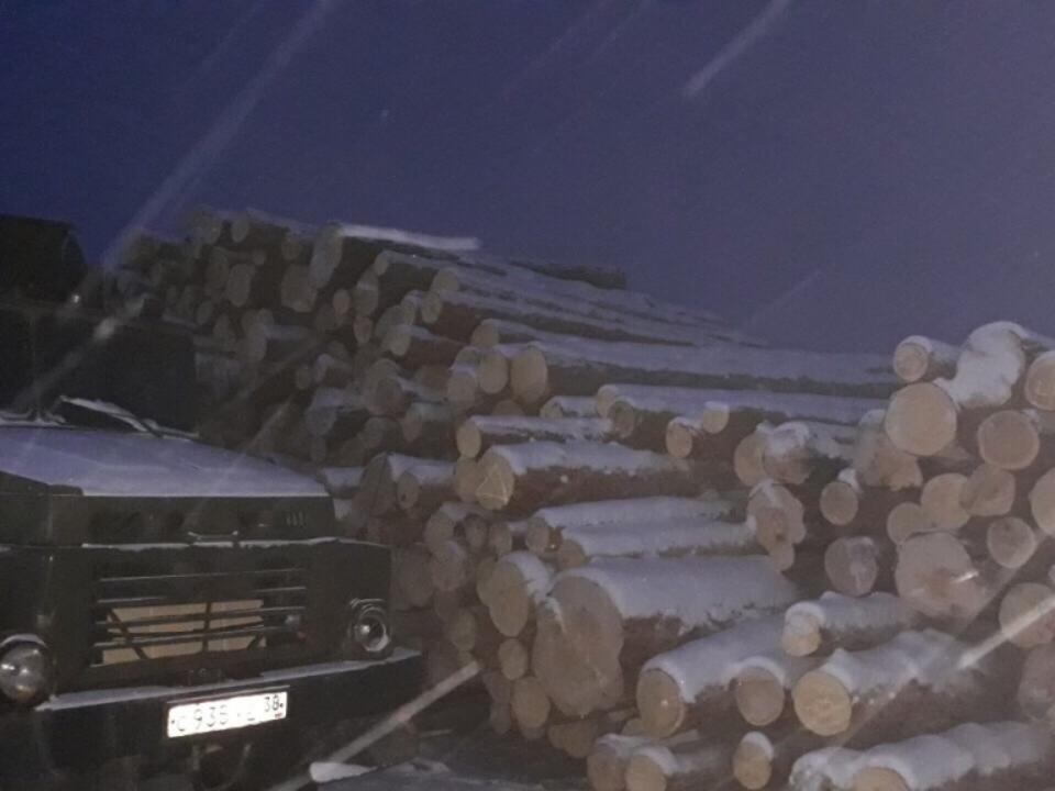 В Заларинском районе изъяли более 1200 кубометров древесины и шесть лесовозов