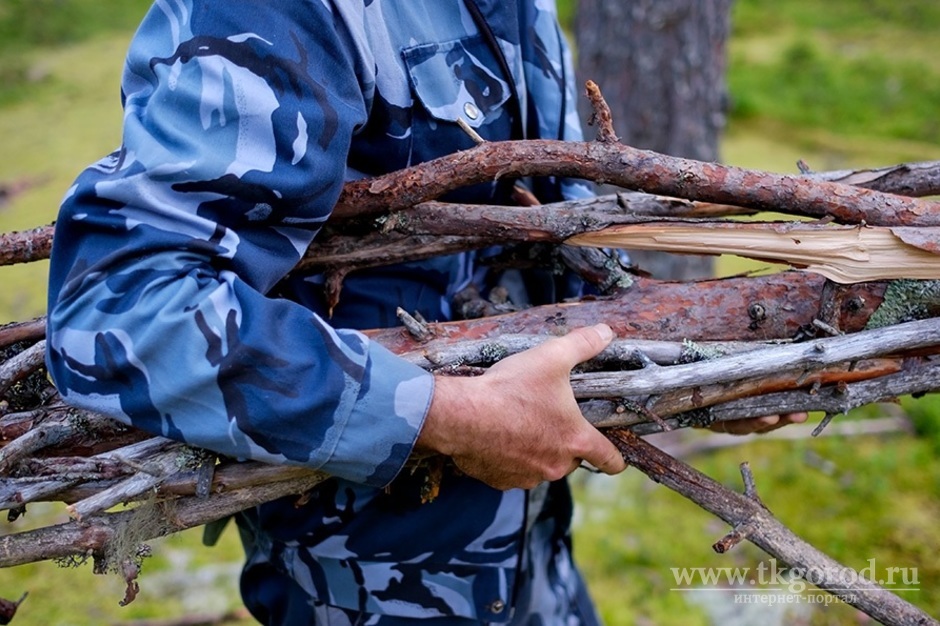 Правительство Иркутской области разъяснило, какой валежник можно собирать в лесах региона