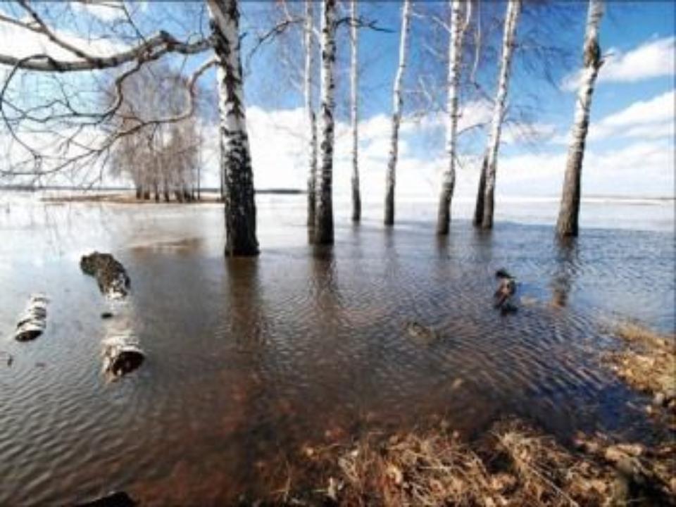 Гидрологи пообещали Иркутской области и еще шести регионам Сибири мощный паводок