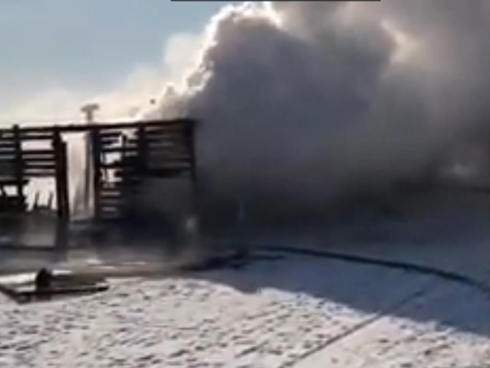 Под Иркутском сгорело здание приюта для животных «Ной-ПовоДог»
