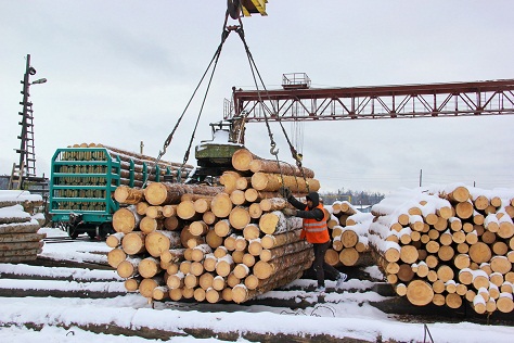 Экспорт леса из Прибайкалья сократился в 2018 году