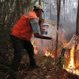 Власти Братского района опять не в курсе лесных пожаров