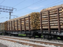 Лесоэкспортер из Прибайкалья не вернул свыше 83 миллионов за вывезенный лес