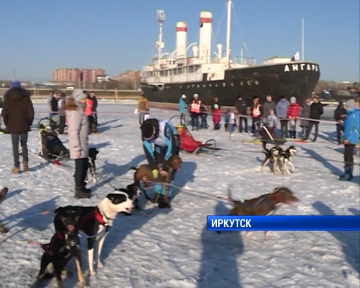 Гонка на собачьих упряжках Baikal RACE прошла в Иркутске