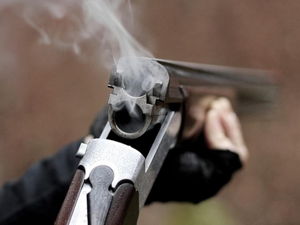 В иркутском садоводстве пьяный мужчина открыл стрельбу из ружья