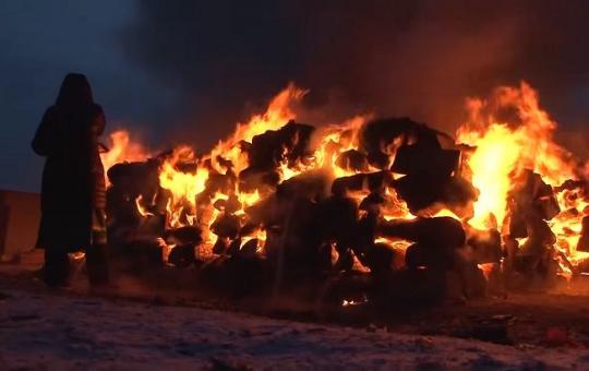 Ангарская полиция считает, что сжигать верблюдов - это нормально