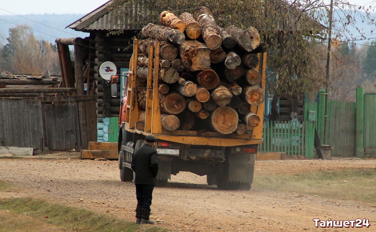 Тайшетский лесозаготовитель заключил фиктивные договоры и обманул государство на 11 миллионов