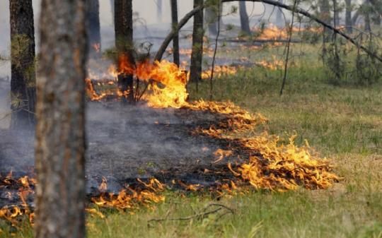 Все лесные пожары в Прибайкалье ликвидированы